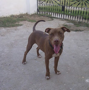 Meet your Posher, Jamar